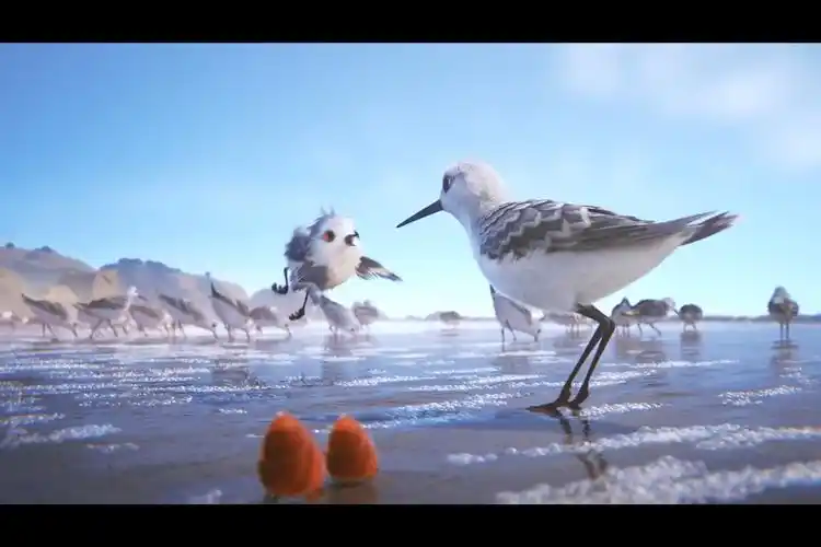 原创二零一六奥斯卡最佳动画短片鹬皮克斯工作室三年暖心之作