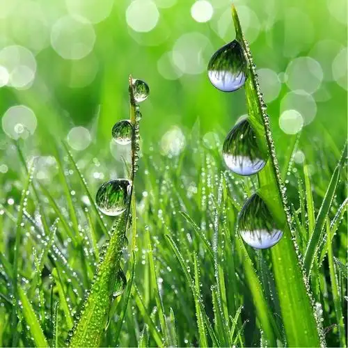 让人过目不忘的头像 高清好看高雅有气质的微信头像图片_微信头像