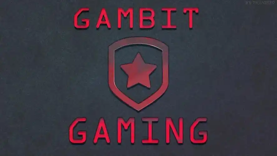 csgo壁纸红星gambitplayers