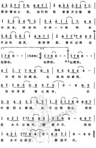 深秋的黎明_简谱_搜谱网