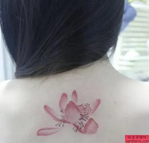 刺青女人背部莲花图腾莲花刺青图案tag标签:个性刺青图腾情侣莲花纹身