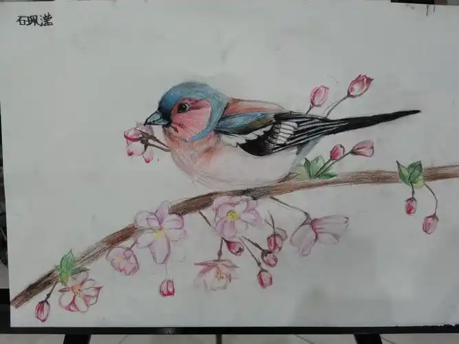 石佩滢同学(11岁),2019年6月30日来到我们博开画苑学习绘画.