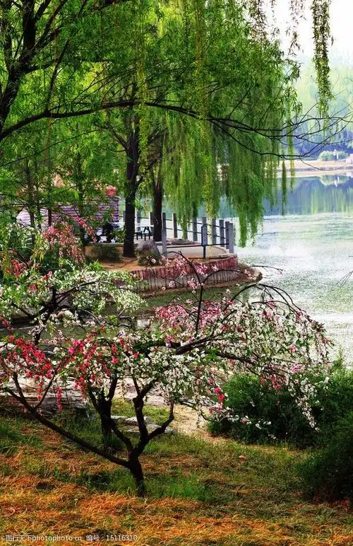 关键词:桃花 桃树 红花 绿叶 桃红 湖畔 自然景观摄影 自然风景 旅游