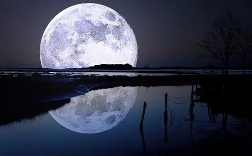 吾心似秋月,碧潭清皎洁——北京协和医院周玉淑教授访谈