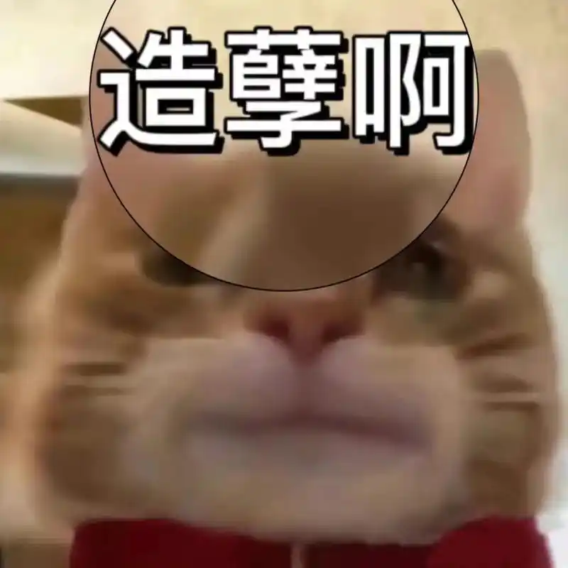 造孽啊 发给你男朋友看看98.#猫咪表情包 #发给对象表情包 - 抖音