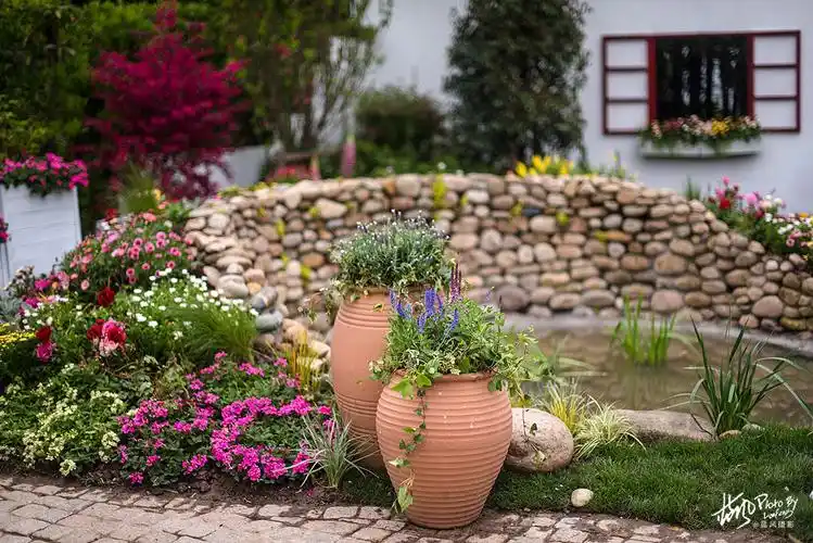 上海国际花展这些小花园美得让人眼馋最让你心动的是哪一款