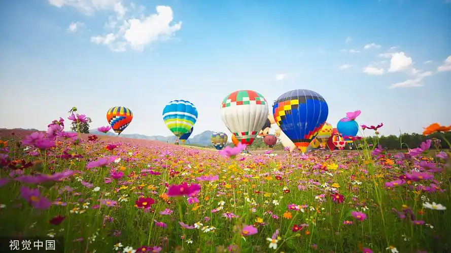 线上花式直播 线下网红打卡,这个楼盘凭什么这么火?