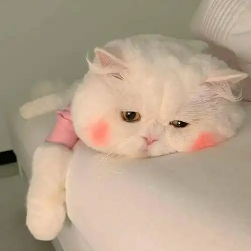 一批个性微信头像