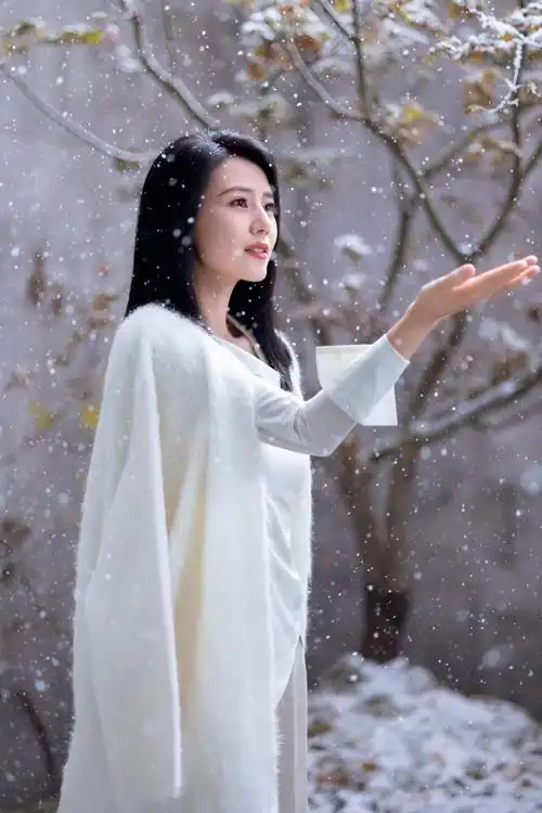 美团丽人高圆圆官宣