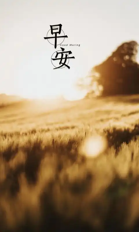 好看的早安唯美图片图片壁纸教师节带字锁屏落叶秋分时节锁屏手机壁纸