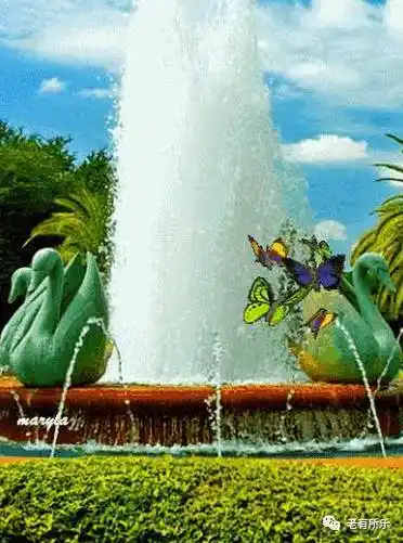 ?会动的照片 ! 太壮观了,快看看!?