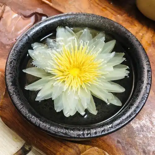 特色美容养颜花茶九品香莲茶娜娜宋