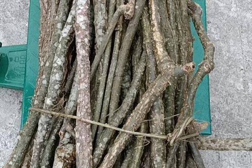 8/斤 宽筋藤中药材