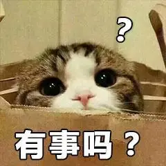 有趣表情包之喵星人的日常,我是一只萌萌的小猫咪哦