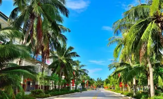 中国最南端的热带都市,面积比新疆还大,只对国人开放的绝美城市