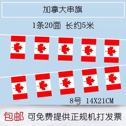 8号14*21cm中国加拿大国旗串旗单面小国旗混搭世界各国旗帜装饰