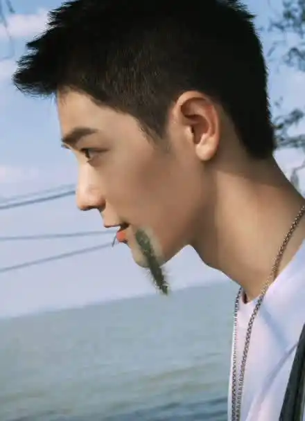 肖战,狗尾草因你c位出道