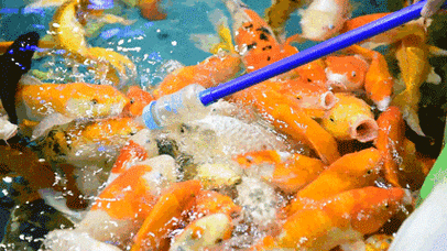 427_240gif 动态图 动图