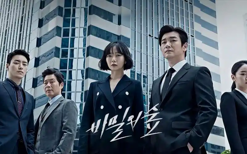 【秘密森林】ost合集|韩剧|沉默者皆共犯|内含白噪音底色|个人向play