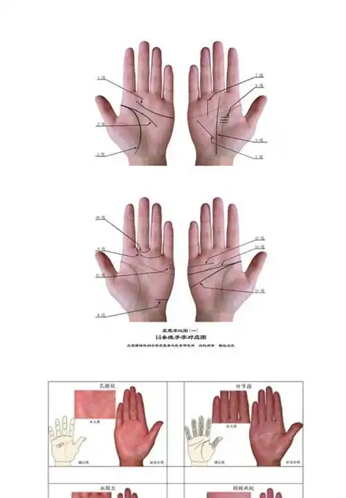 正版王晨霞掌纹图典掌纹图解手诊书诊病治病教程书籍黄晨霞看手相中医