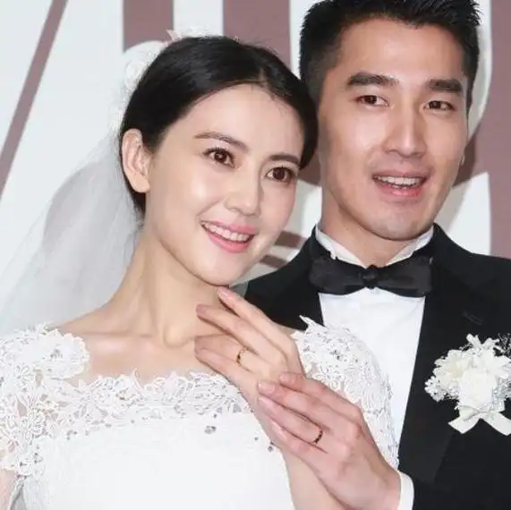 高圆圆赵又廷婚变疑似变故女方受虐男方与经纪人未定