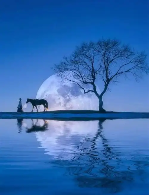 诗词我在等风也等你