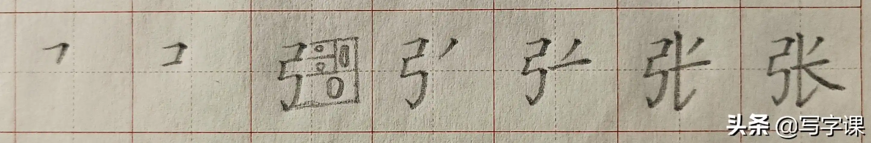 张的笔顺笔画顺序百家姓张的写法