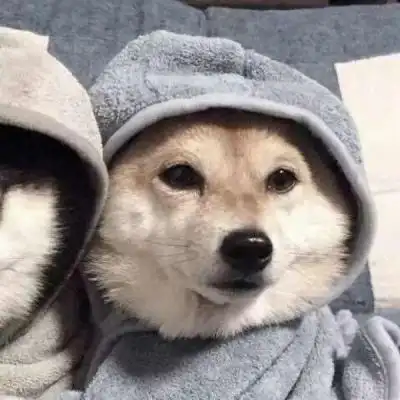 超可爱的动物系列情侣头像快收藏吧78