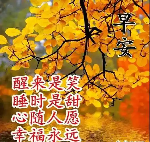 原创最新清晨早上好唯美动态祝福图片暖心的早安问候语动态图片