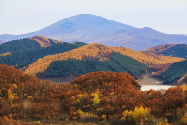 我的家乡(林口)美如画《1》