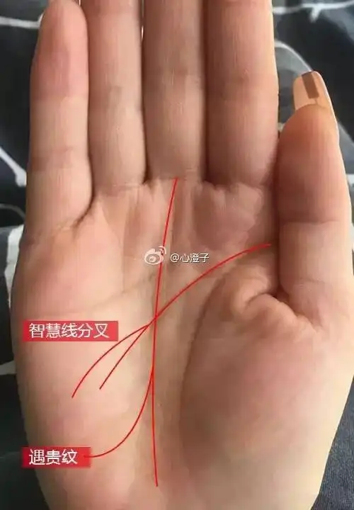 无名指特别长,太阳丘和月丘都比较厚实,智慧线深刻且有分叉,事业线