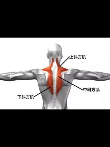 小仙女斜方肌视觉较大多数是因为长期伏案工作和不良体_圈子-新氧美容