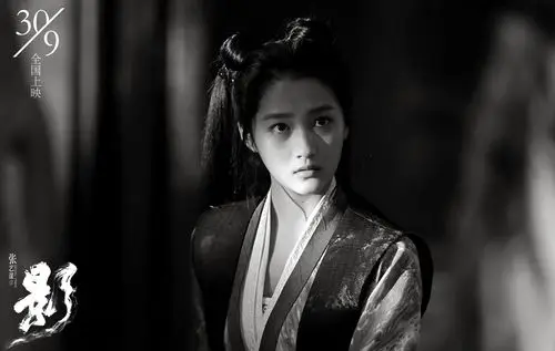 邓超,孙俪,郑恺,王千源,胡军,王景春,关晓彤,吴磊主演的电影《影》