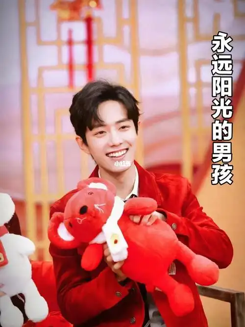 努力到闪闪发光的肖战