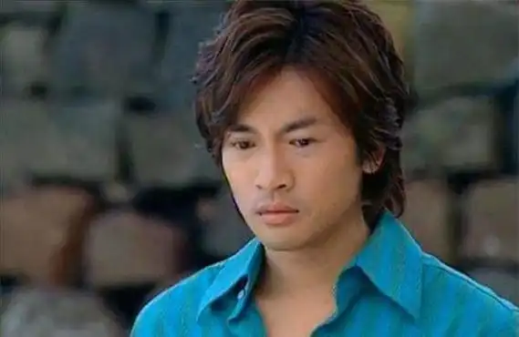 当年苏有朋拍过的电视剧:基本都没有看过,全看过的是王者