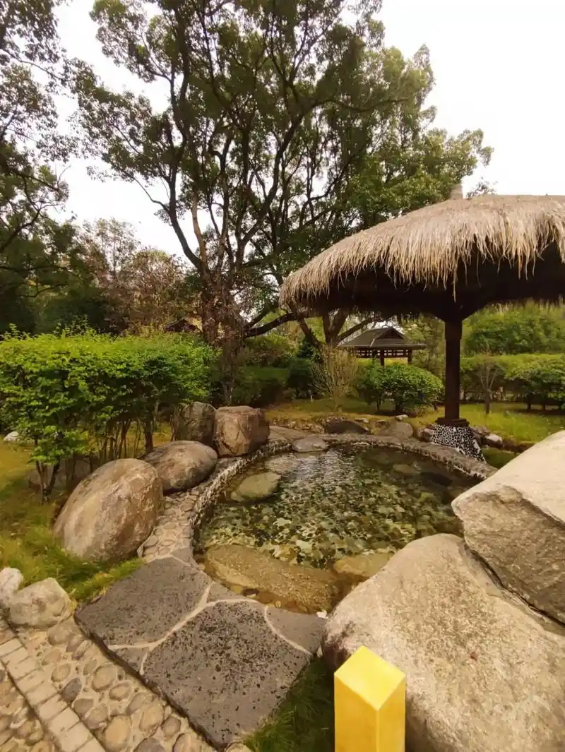 冬天第一泡嵘源温泉#温泉纯不纯皮肤品出 - 抖音