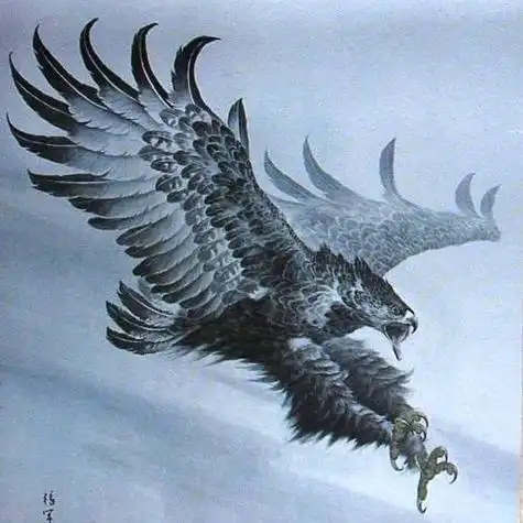 我想用鹰的图片作为头像使用,最好霸气帅一点,有意境,谁有吗?