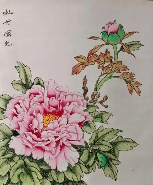 99996996#寻找小红书绘画大神  #水彩画  #国画  #工笔画