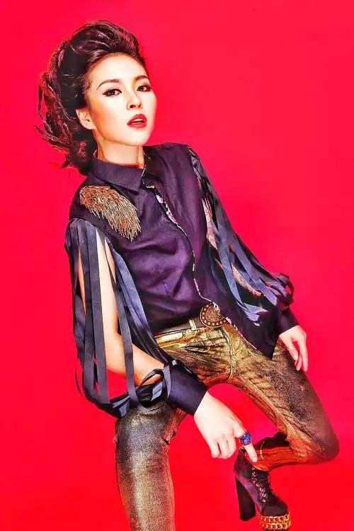 中国好声音第二季 毕夏