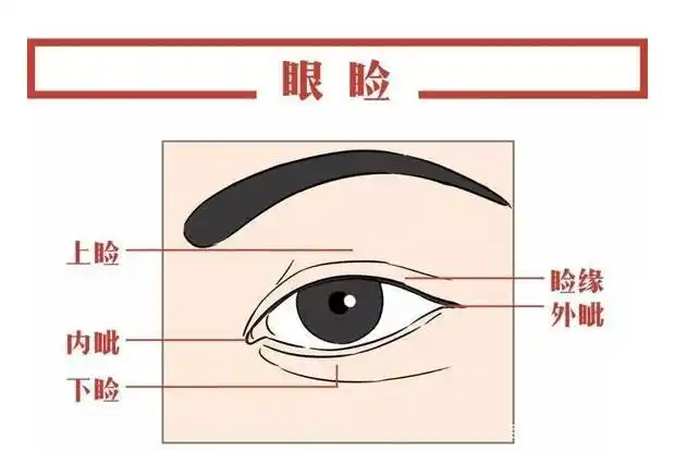 关于上眼皮松弛你必须知道的事情!