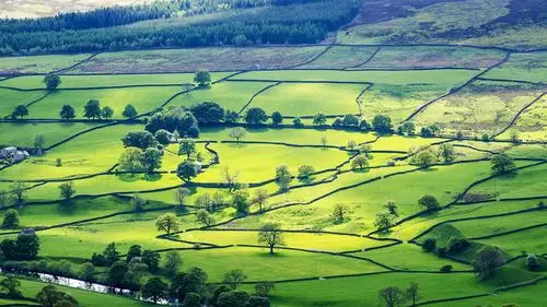 意境 在季节的转角处 平原 草地 绿色 养眼 村庄 安静 风景大片壁纸