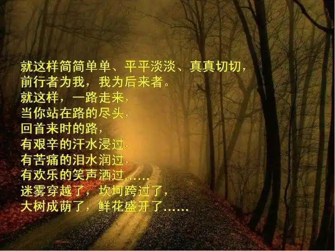 一路走来懂得了许多