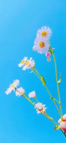 正能量的晚安句子,干净温柔,满满治愈