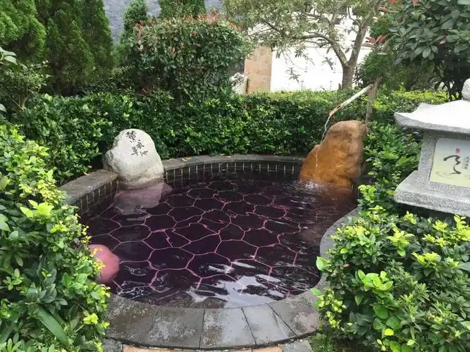 明月山天沐温泉度假村