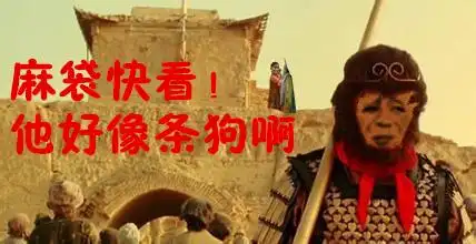 表情包 - 日常表情包