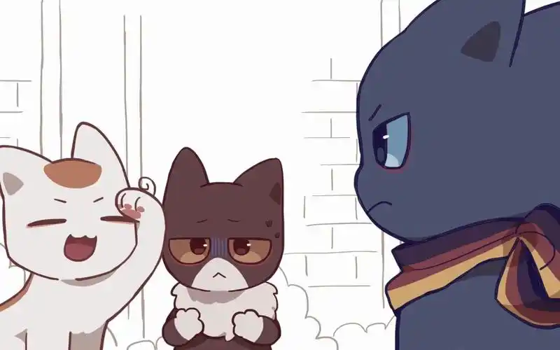 【aph喵塔利亚】轴三喵集合!