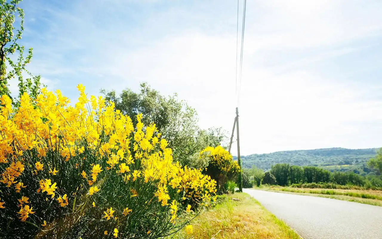 小清新唯美风景高清桌面壁纸