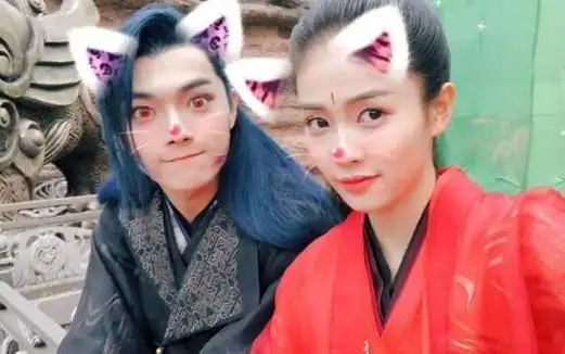 尚食白鹿为什么不演了 (白鹿许凯为什么再无合作) - cst下载站