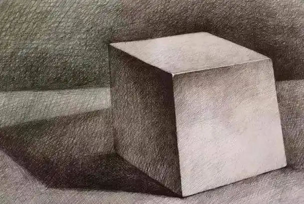 北京画室素描植物入门素描凌霄花的绘画教程怎么画素描鼻子写生步骤