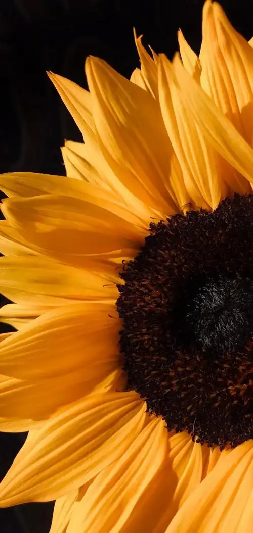 风景壁纸来一波,最喜欢第一张本文关键词:好看的唯美意境图片,特别有